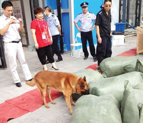 南寧國際會(huì )展中心引進(jìn)警犬替代X光機檢測大型包裹[圖]