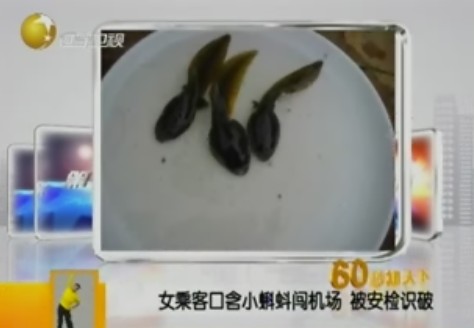 女乘客攜3只蝌蚪遭廣州機場(chǎng)行李安檢機掃描發(fā)現[圖]
