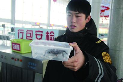 青島車(chē)站行李安檢機掃描發(fā)現毒蜘蛛[圖]